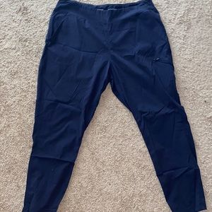 Navy Mountain Hardwear Dynama pants